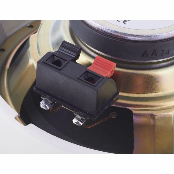 Visaton DL 18/2 T 8 Ohm