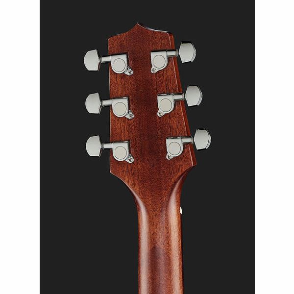 Takamine GD20CE-N