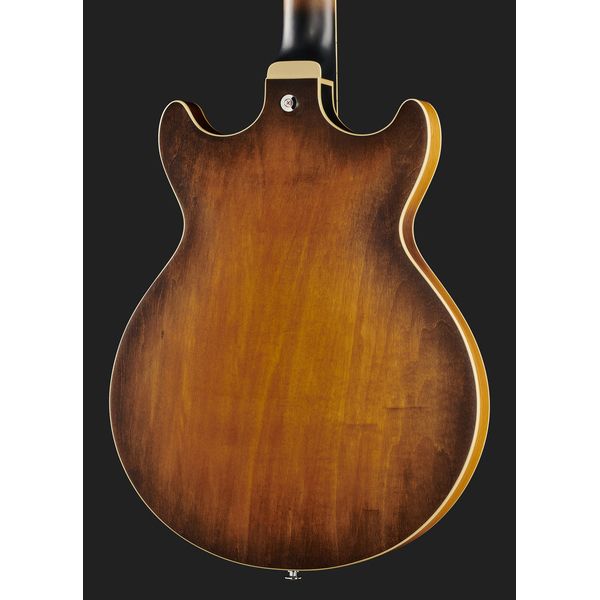 Ibanez AM53 Tobacco Flat