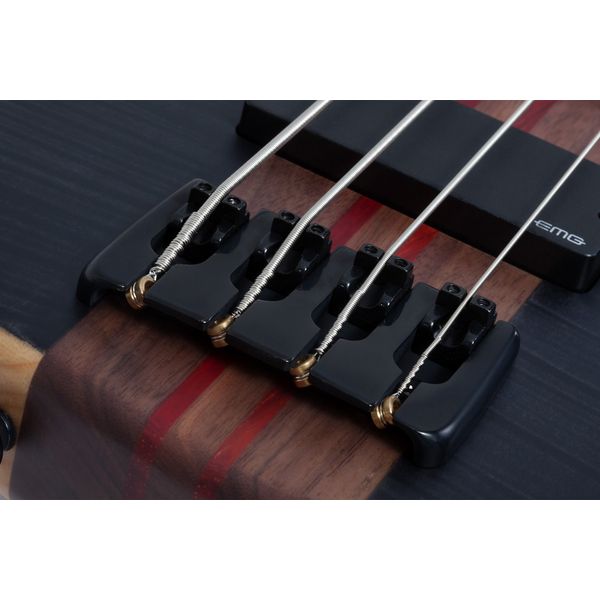 Schecter Charles Berthoud CB-4