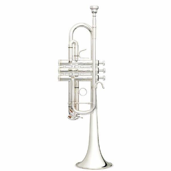 B&S 3136TC-S Challenger II