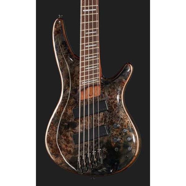 Ibanez SRMS805-DTW Workshop