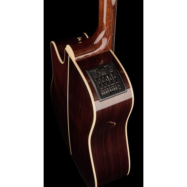 Takamine P5DC w/Softcase