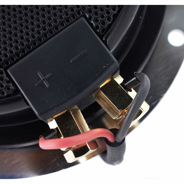 Fischer Amps Drum InEar Amp 2 - Bass Pump