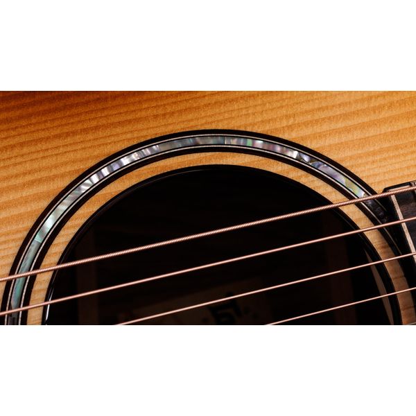 Taylor Builders Ed. 814ce Adirondack