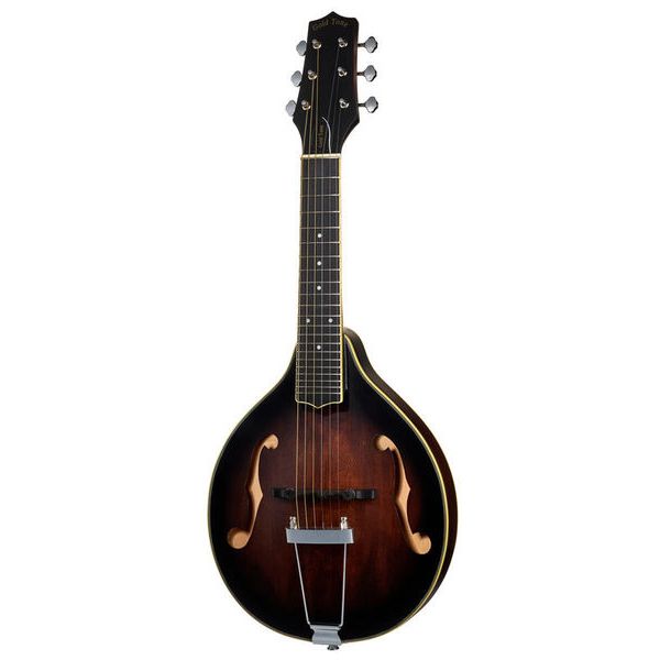 Gold Tone A-6 Mando Guitar TS
