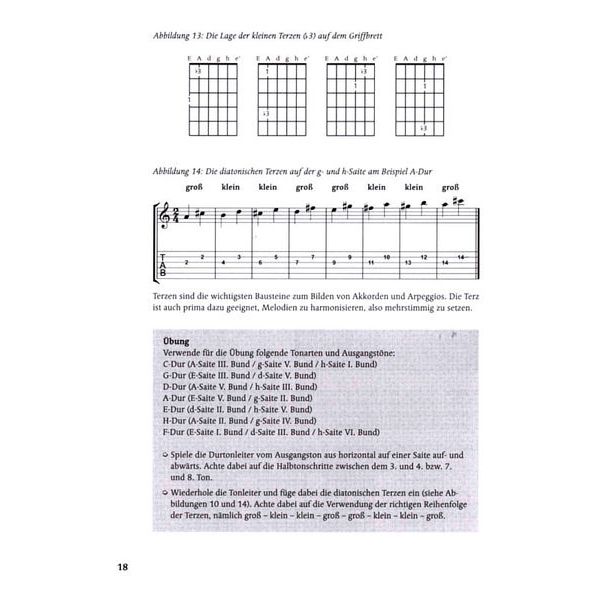 Schott Griffbrett-Theorie
