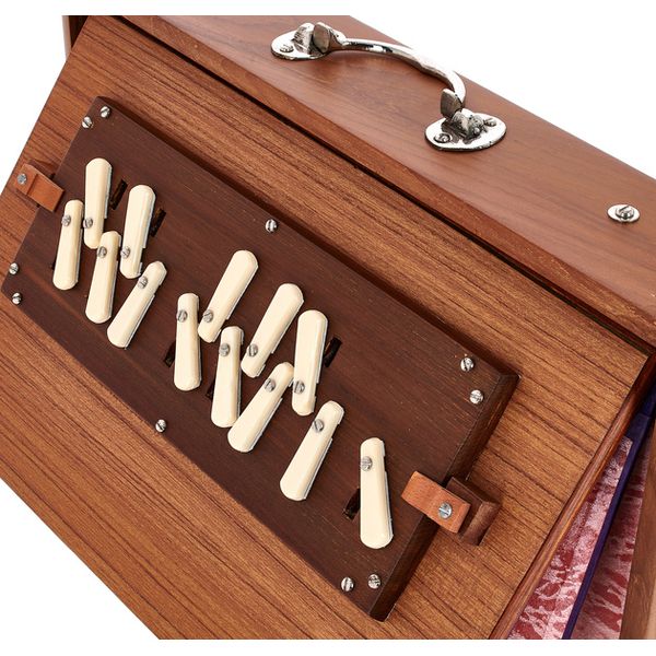 Thomann Nataraj Prof. Shruti C-C Med.