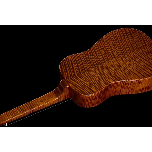 Beard Guitars Trailhead E-Model SN Tobacco