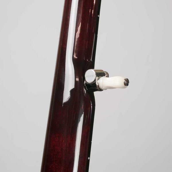 Deering Eagle II 5-String A/E