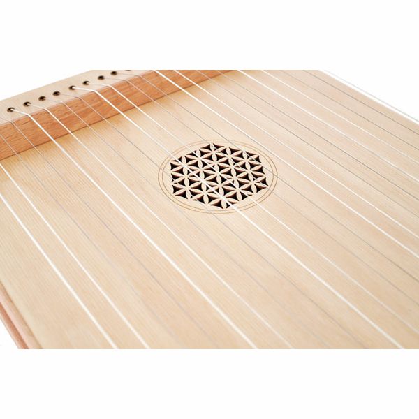 Allton ZMB2G Tambura Chord 21 Strings