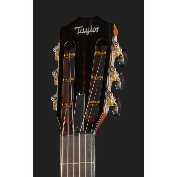 Taylor 322e-12Fret-V-Class
