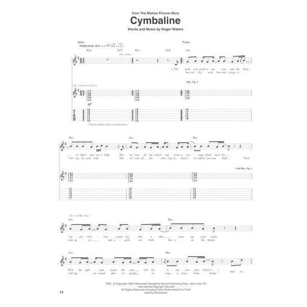 Hal Leonard Pink Floyd Acoustic Guitar