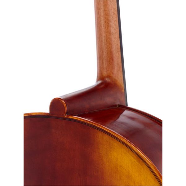 Gewa Maestro 6 Cello 4/4