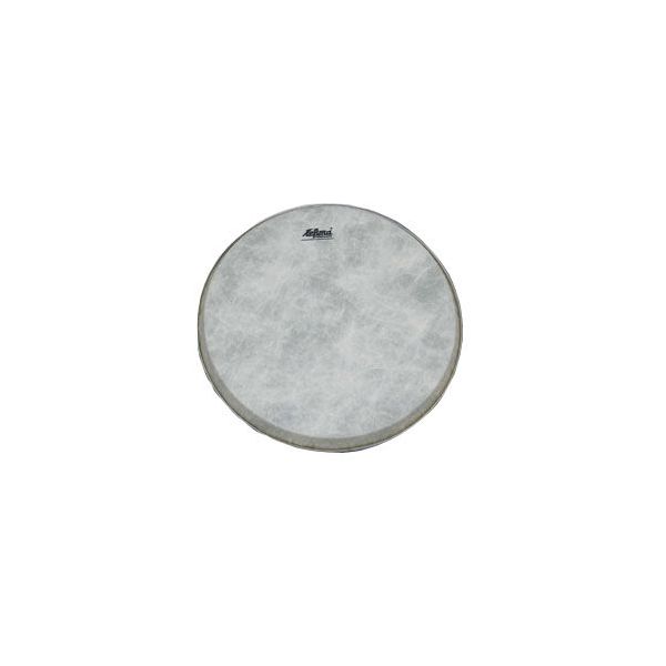 Lefima M0014S Head for Field Drum