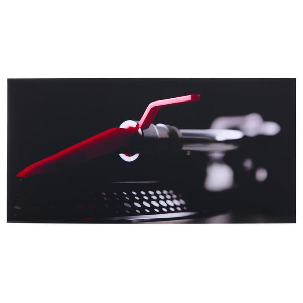 t.akustik Print Panel The Needle