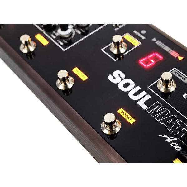 T-Rex Soulmate Acoustic Bundle