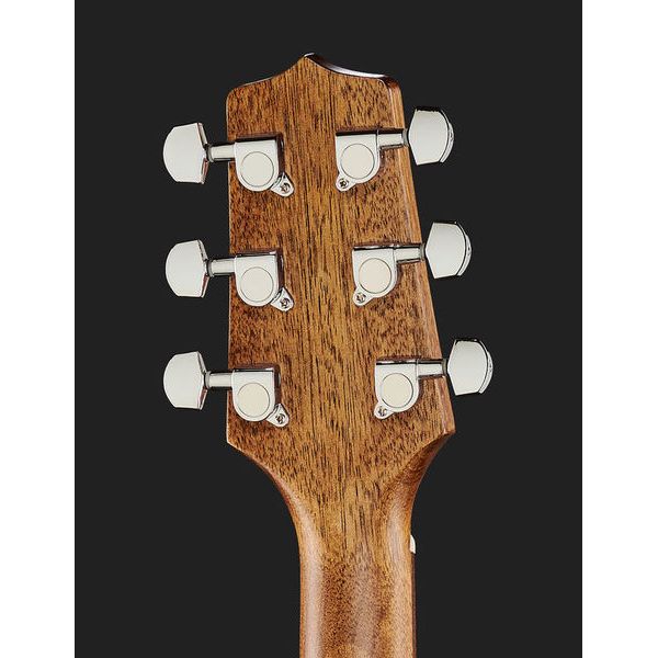 Takamine GD30CE-N