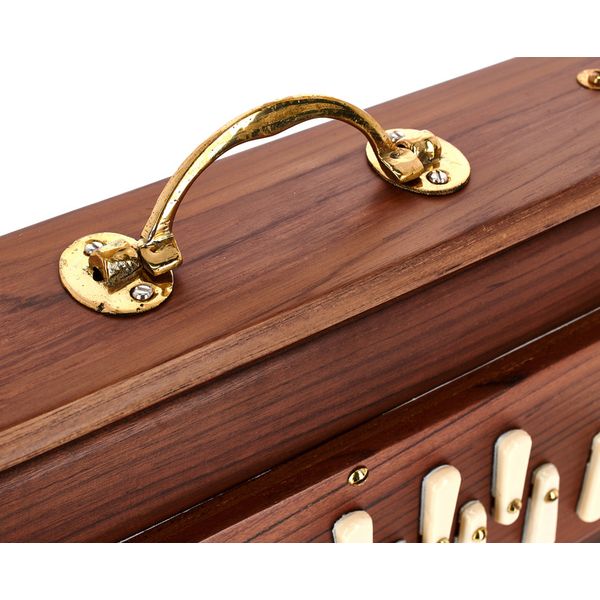 Thomann Nataraj Prof. Shruti Solid TW