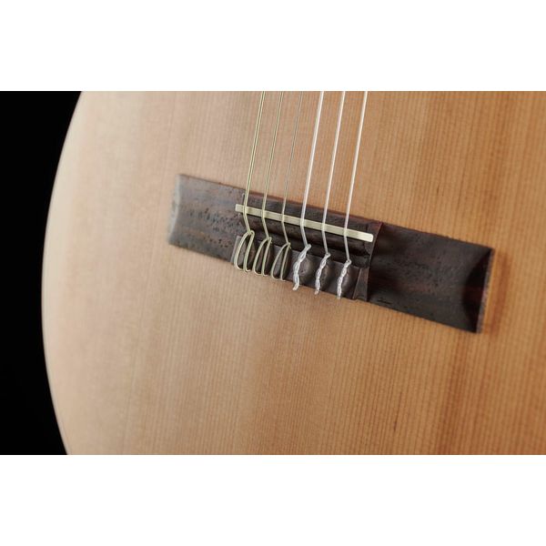 Alhambra Z Nature incl.Gig Bag