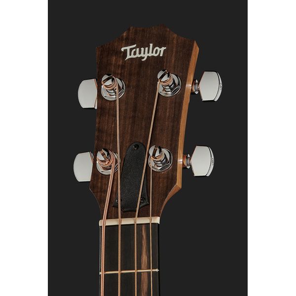 Taylor GS Mini-e Bass