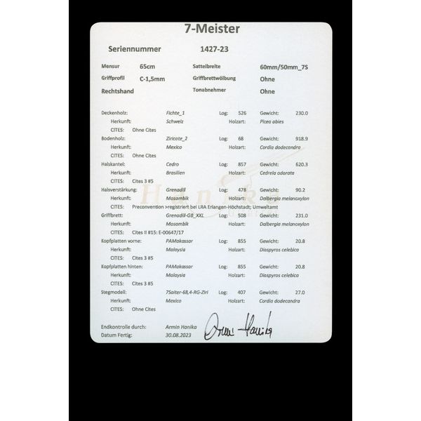 Hanika 7-Meister Concertguitar