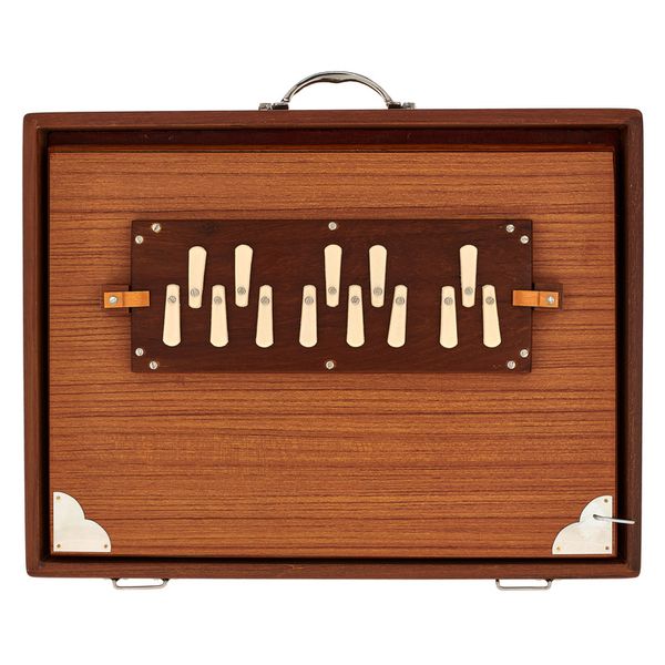 Thomann Nataraj Prof. Shruti G-G 432Hz