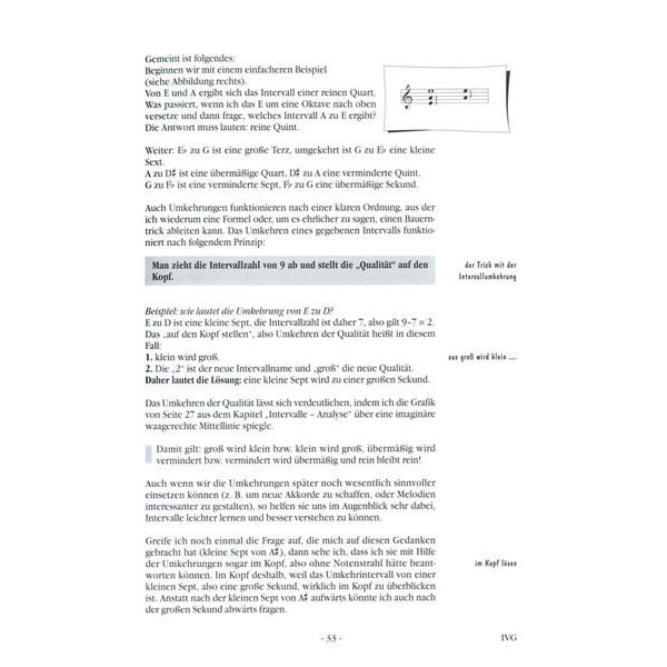 Voggenreiter In Vivo Guitar