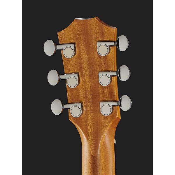 Taylor GS Mini Sapele Torrefied Top