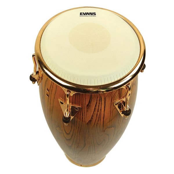 Evans EC1175 11 3/4" Conga Head LP