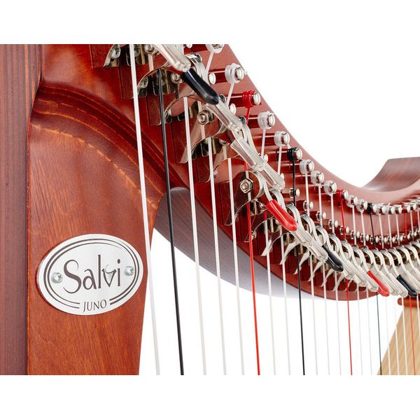 Salvi Juno 25 Cherry Sipario Bioc.