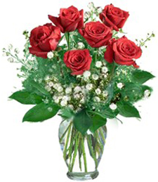 Radiant Roses