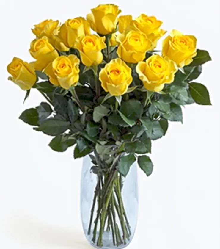 Elegant Blooms