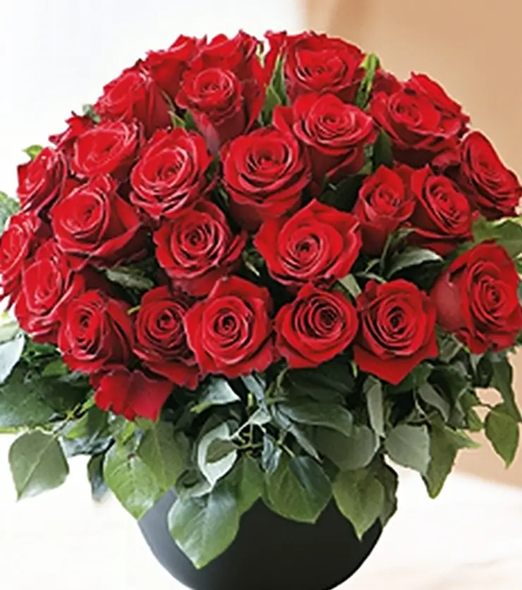 Supreme Blooms