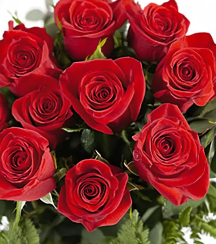 Supreme Blooms