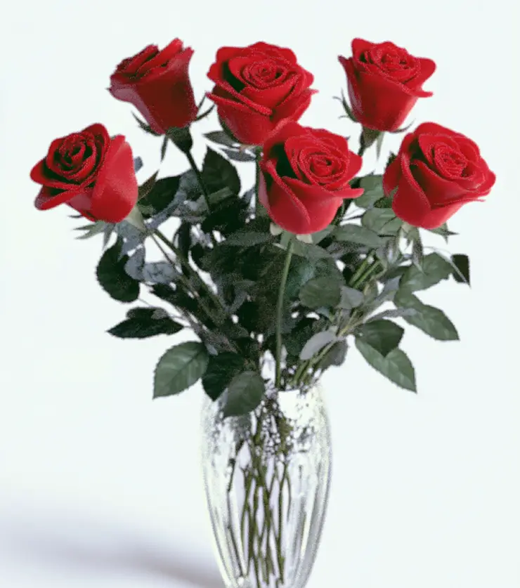 Love Story Roses