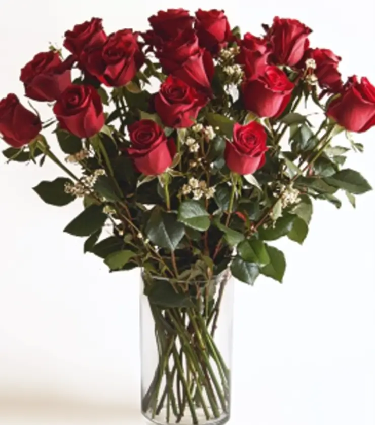 Bouquet of Roses