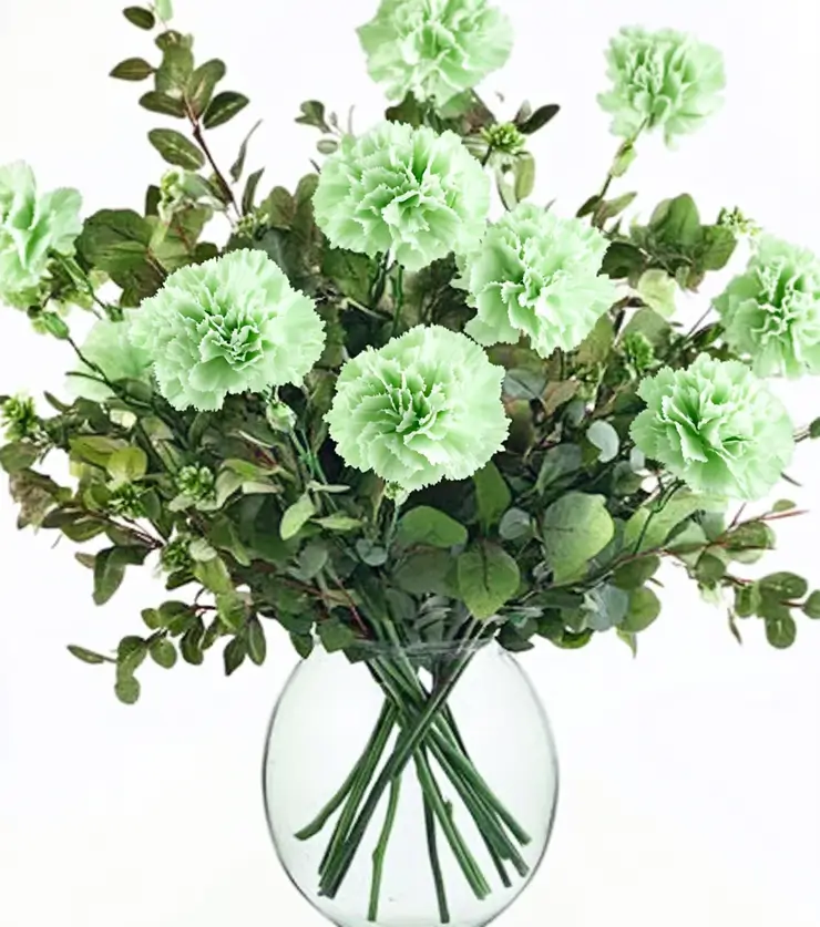Prosperity Plant