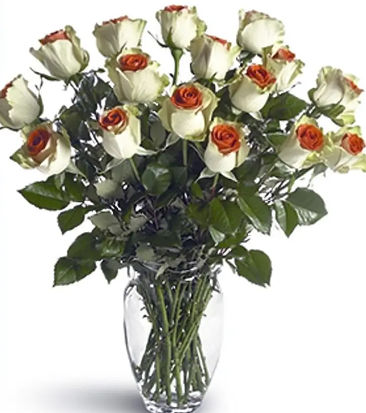 Luxury Roses