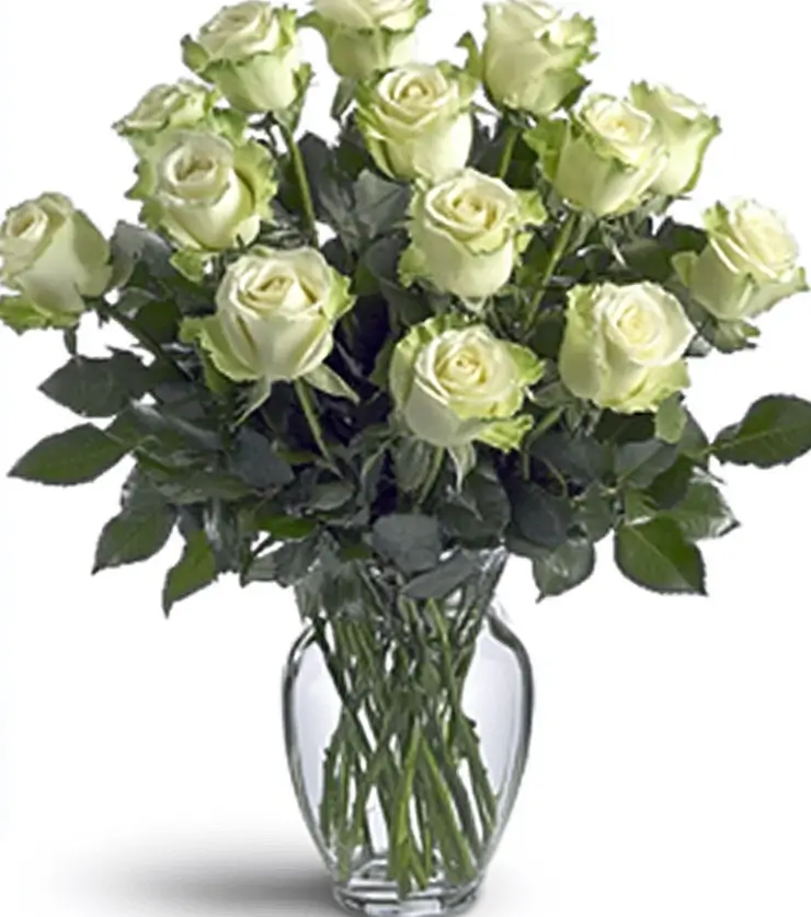 Luxury Roses