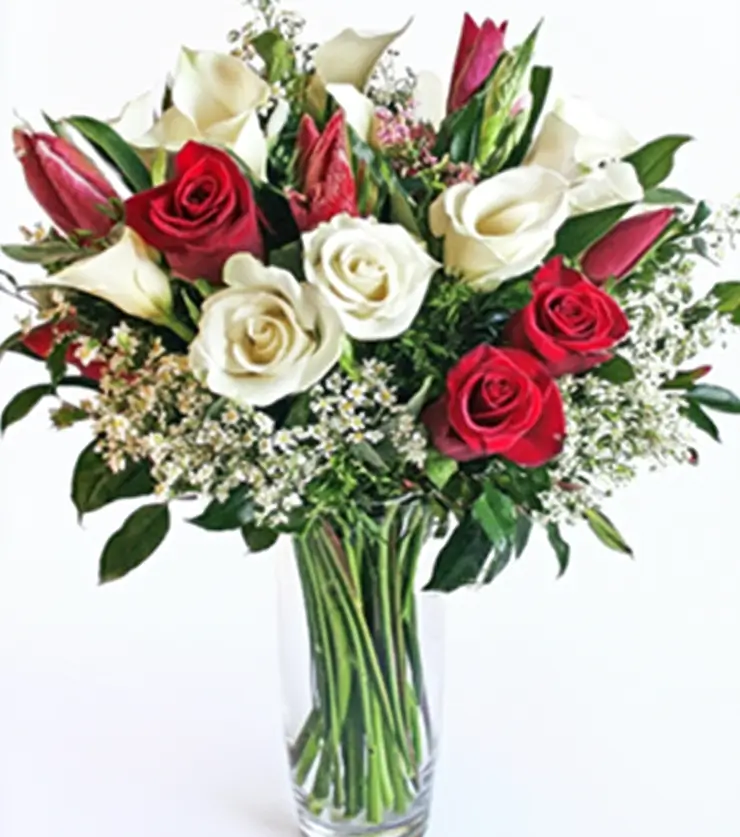 Radiant Roses