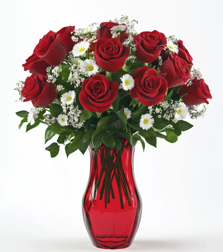Velvety Red Roses