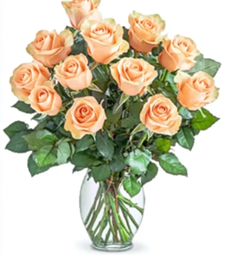 Shimmering Roses