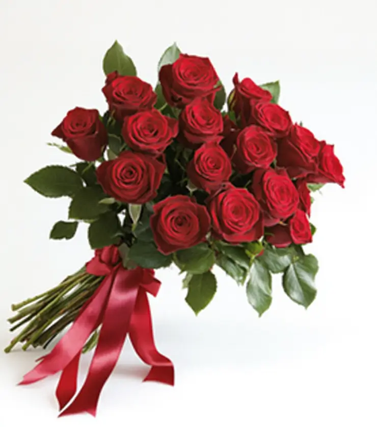 Scarlet Surprise