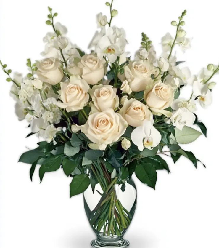 Classic Roses