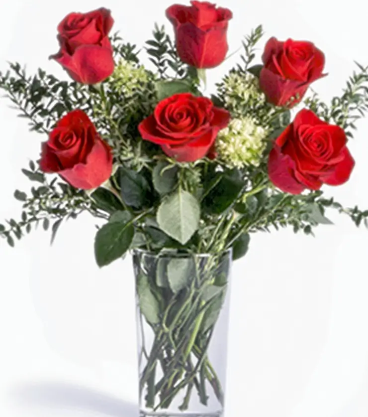 Love Story Roses