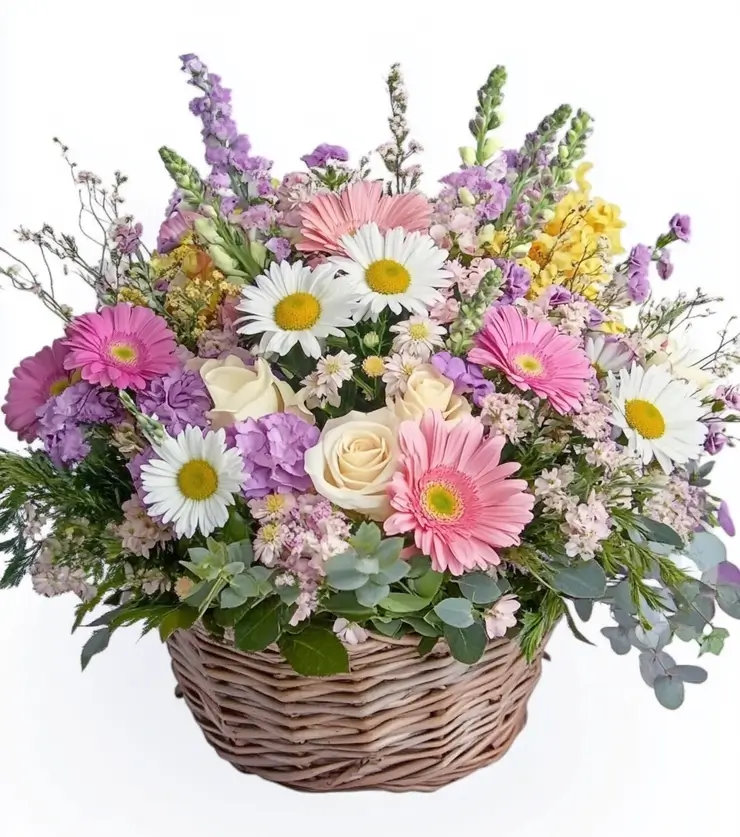 Colorful Fragrance