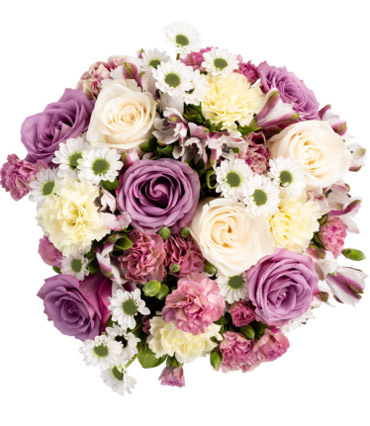 Lilac Haze