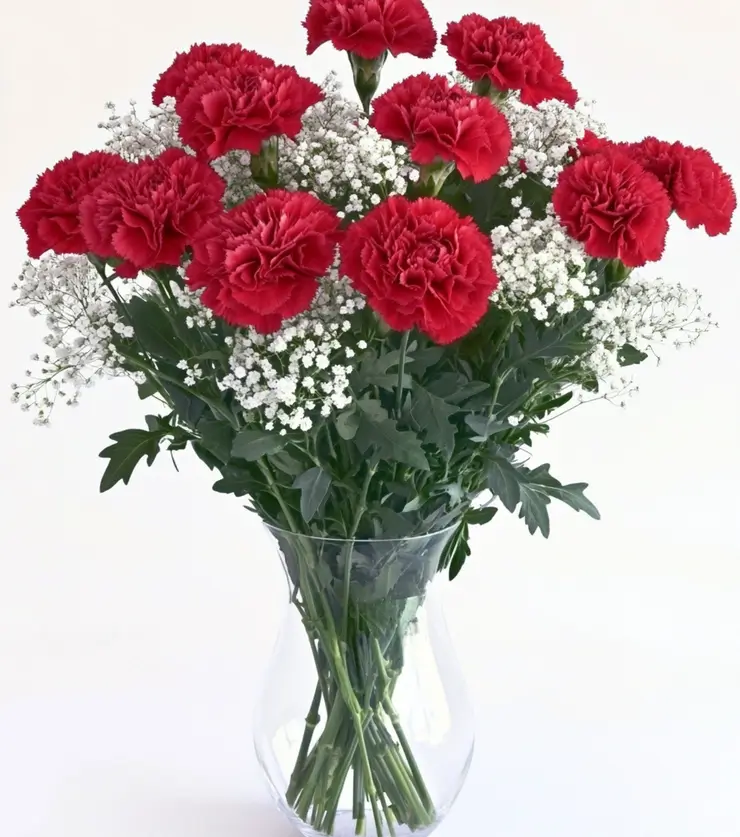 Vibrant Carnations
