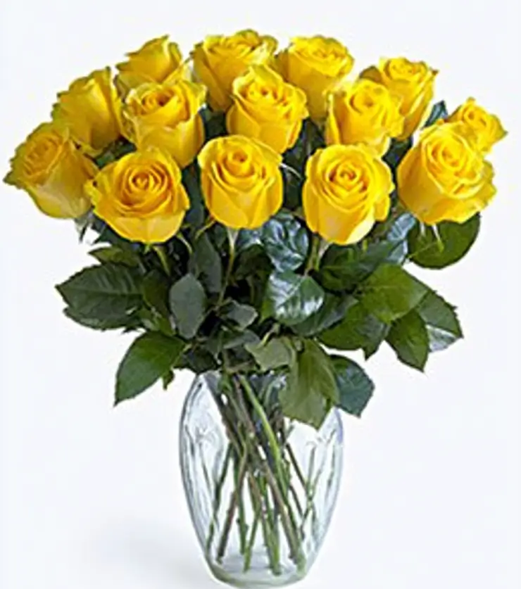 Elegant Blooms